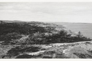 Bilde av Tønsberg tønne